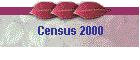 Census 2000