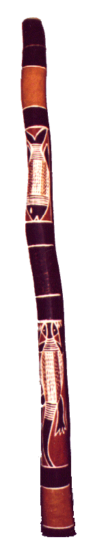 Didgeridoo
