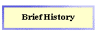 Brief History